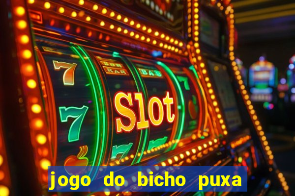 jogo do bicho puxa de dona maria